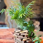 Travel Wood