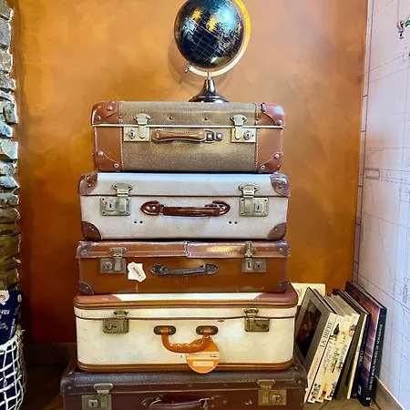 Travel Wood * Waulsort