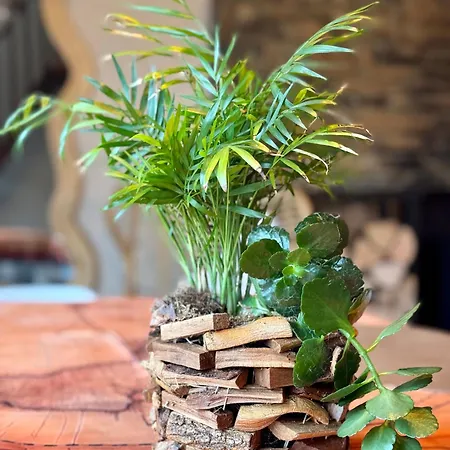 Travel Wood - Nature 2 A 4 Pers, Sauna & Jeux