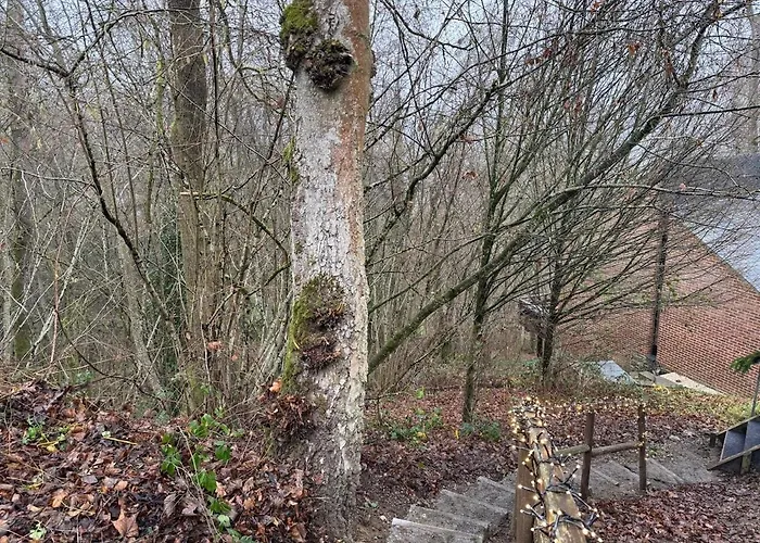 Travel Wood - Nature 2 A 4 Pers, Sauna & Jeux