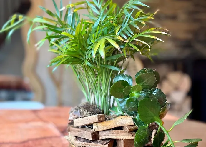 Travel Wood - Nature 2 A 4 Pers, Sauna & Jeux