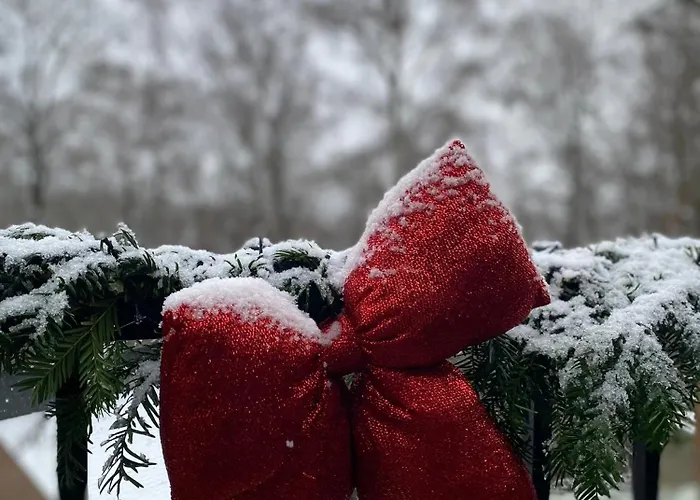 Travel Wood * Waulsort